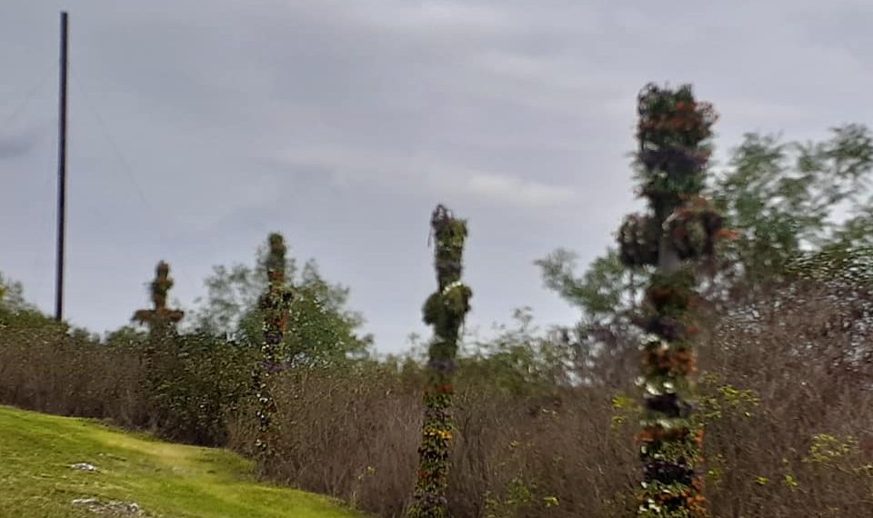 Фото: Галина Огородник