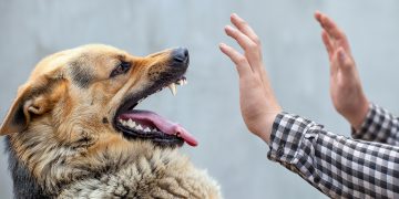 Фото ілюстративне з мережі Інтернет
