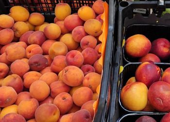 Персики та абрикоси// Фото: Файне місто
