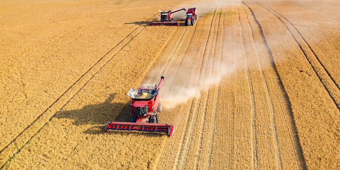 Фото ілюстративне// Джерело: grandoinvest.com