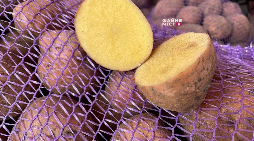 Картопля // Фото: Файне місто