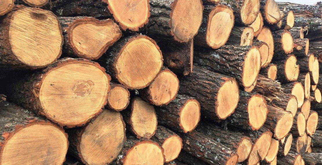 Фото ілюстративне з мережі Інтернет