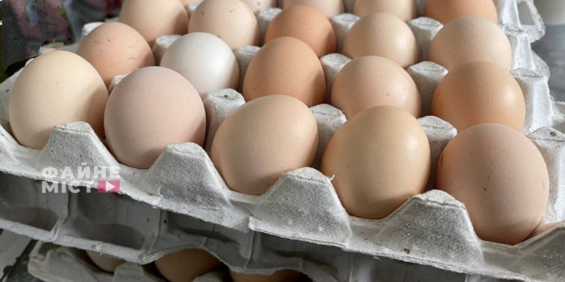 Курячі яйця //
Фото: Файне місто