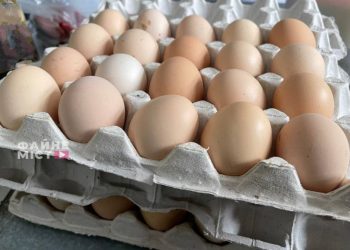 Курячі яйця //
Фото: Файне місто