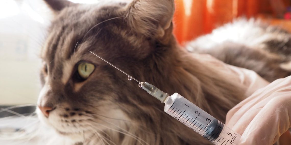 Фото ілюстративне з мережі Інтернет