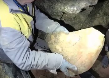Скриншот з відео музею