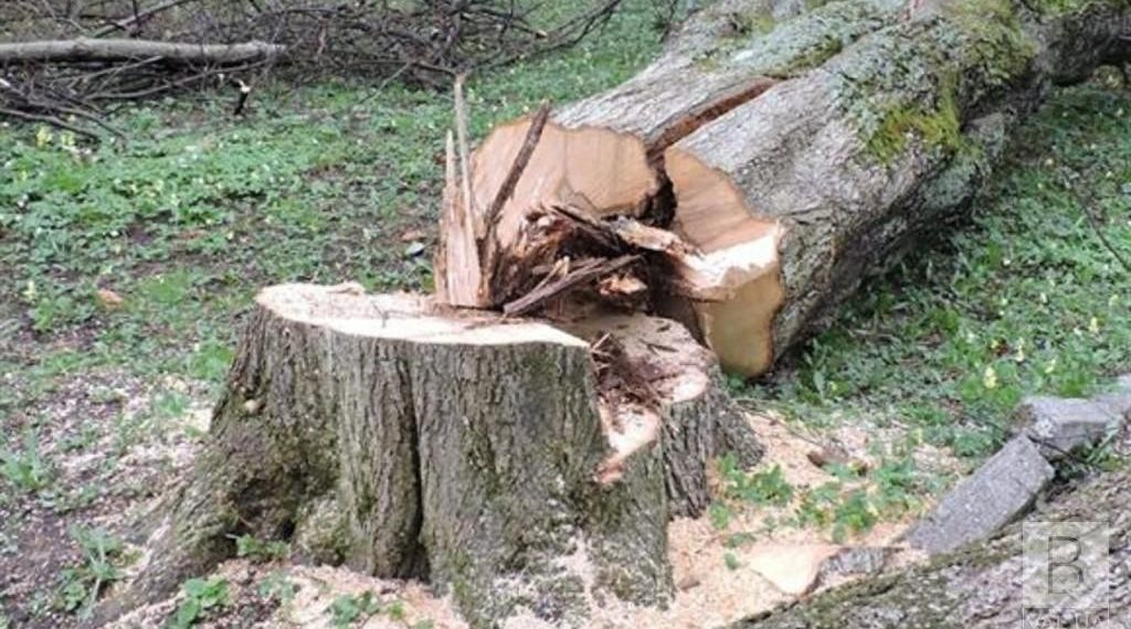 Ілюстративне фото з мережі Інтернет