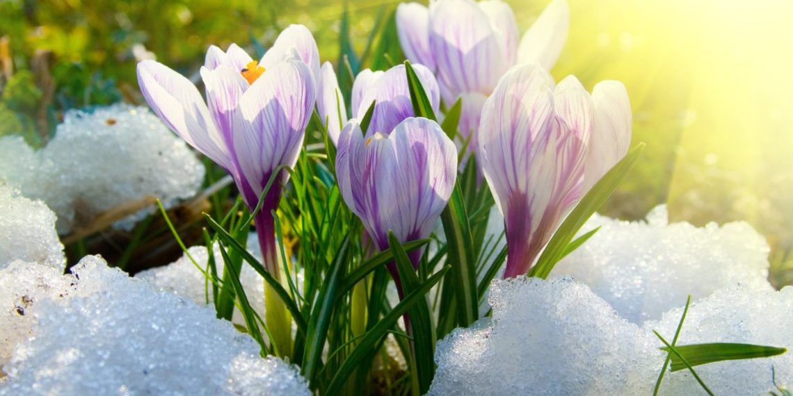 Фото: інтернет