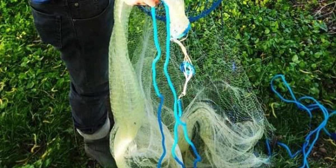 Фото: Тернопільський рибоохоронний патруль