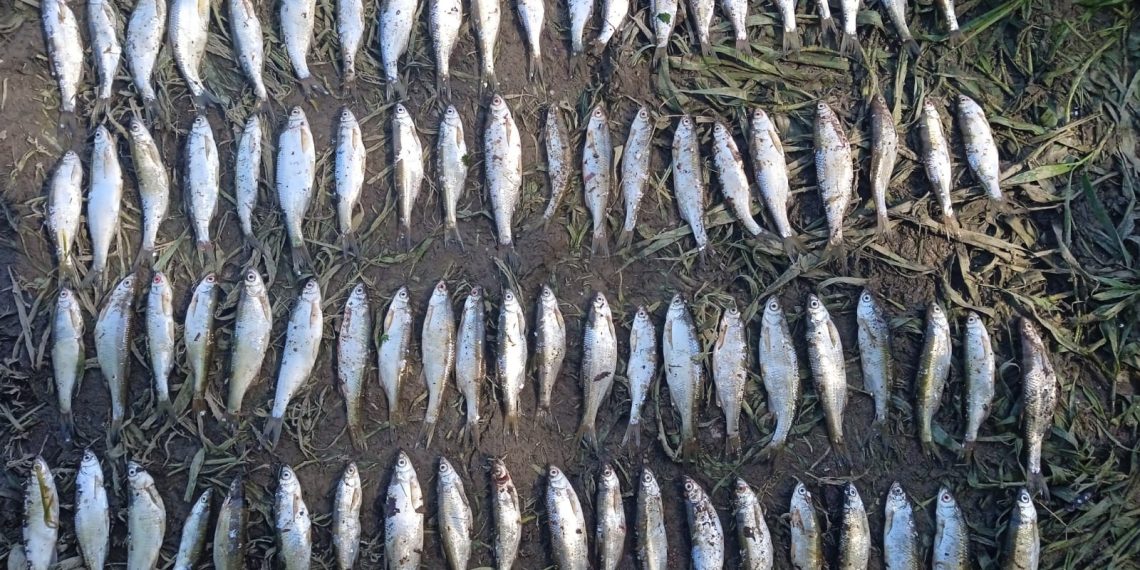 Фото: поліція Тернопільщини