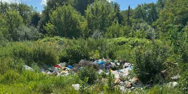 Фото: Державна екологічна інспекція у Тернопільській області