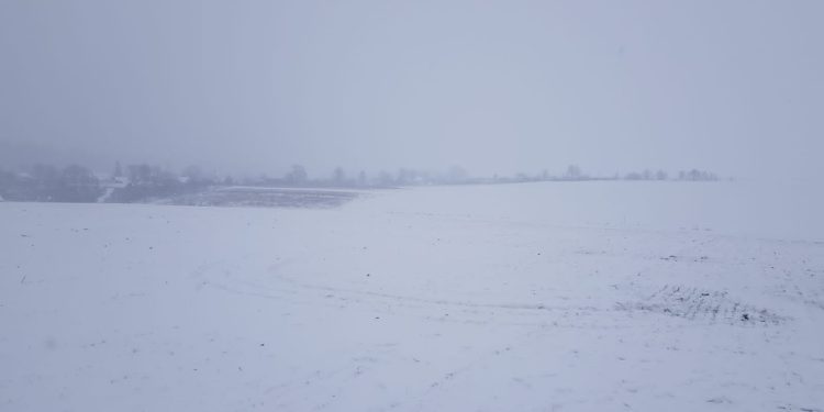 Фото: поліція Тернопільщини