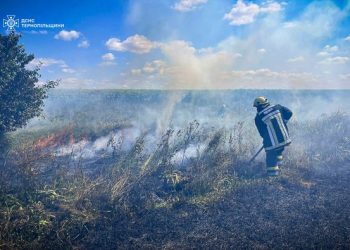 Фото: ДСНС Тернопільщини