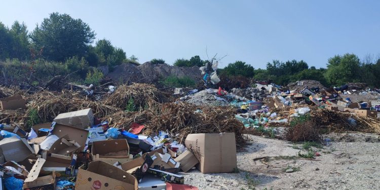 Фото: Державна екологічна інспекція