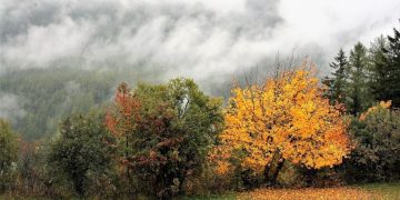 Фото: з вільних джерел