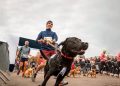 Фото ілюстративне з відкритих джерел