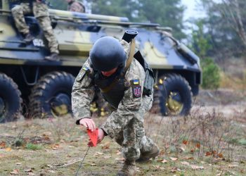 Фото: з вільних джерел