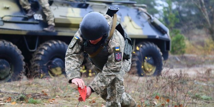 Фото: з вільних джерел