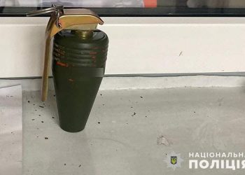 Поліція виявила гранату та патрони під час затримання за домашнє насильство