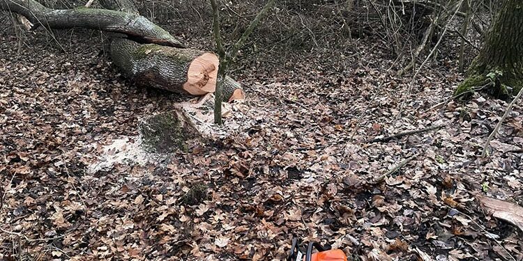 Фото: ГУНП в Тернопільській області