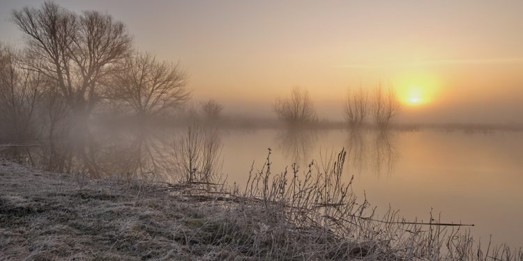 Фото: ілюстративне/з вільних джерел