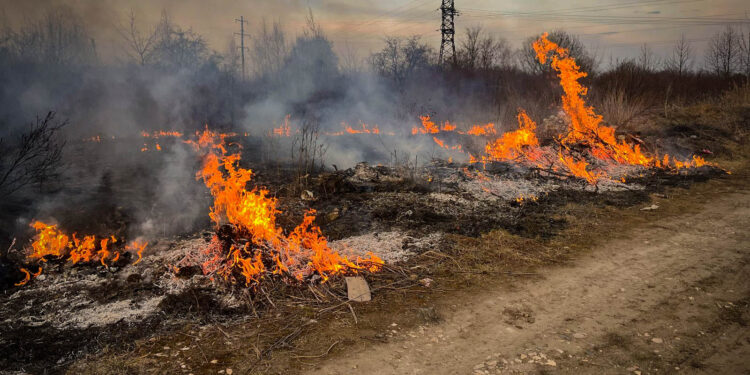 Фото: ДСНС Тернопільщини