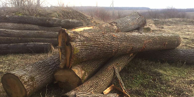 Фото: Поліція Тернопільської області