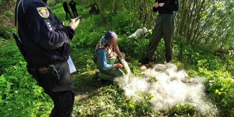Фото: Державна екологічна інспекція