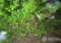 Фото: ГУНП в Тернопільській області