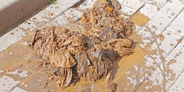 Фото: КП "Тернопільводоканал"