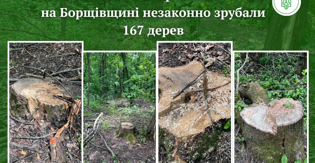 Фото: Державна екологічна інспекція у Тернопільській області