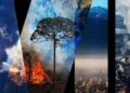 Фото: ілюстративне з вільних джерел