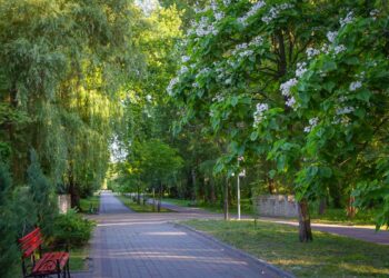 Фото: Вероніка Рубаненко