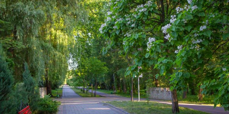 Фото: Вероніка Рубаненко