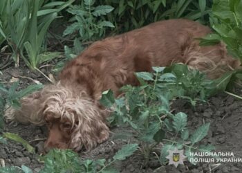 Фото: ГУНП в Тернопільскій області
