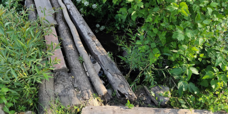 Фото: ГУНП в Тернопільскій області