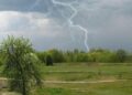 Фото: ілюстративне/з вільних джерел