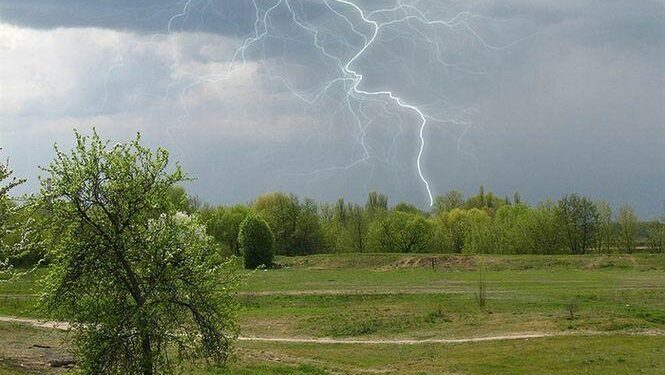 Фото: ілюстративне/з вільних джерел