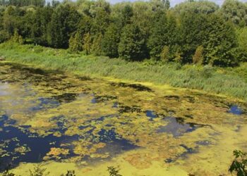 Фото: ілюстративне/з вільних джерел