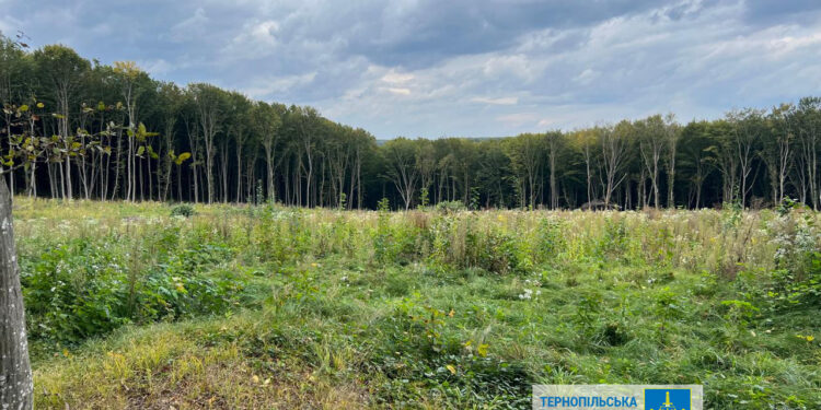 Фото: Тернопільська обласна прокуратура