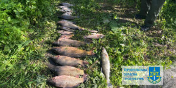 Фото: Тернопільська обласна прокуратура
