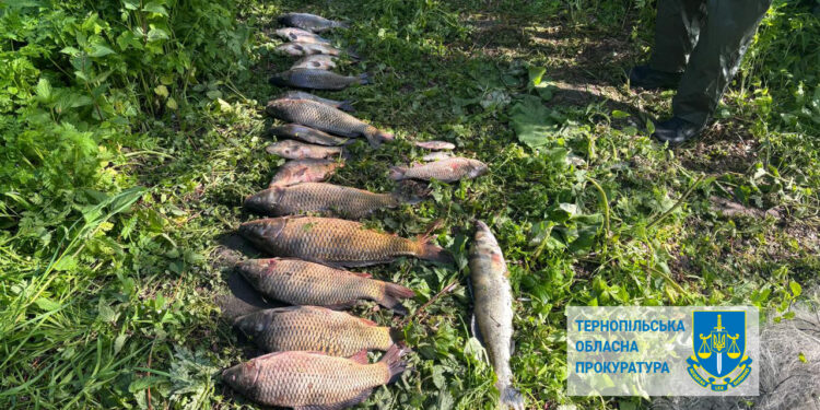 Фото: Тернопільська обласна прокуратура