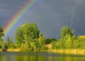 Фото: ілюстративне/з вільних джерел