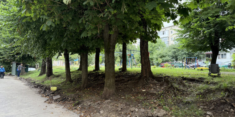 Фото: Тернопільська міська рада