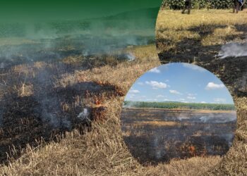 Фото: Державна екологічна інспекція у Тернопільській області