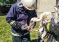 Фото: Головне управління ДСНС України у Тернопільській області