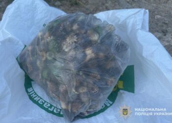 Фото: ГУНП в Тернопільскій області