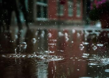 Фото: ілюстративне/з вільних джерел