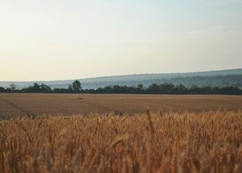 Фото: ілюстративне/з вільних джерел