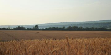 Фото: ілюстративне/з вільних джерел